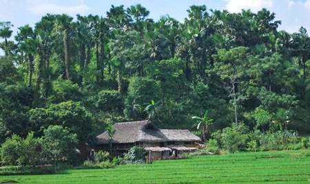 Nhà sàn của người Tày ở Hà Giang - ảnh 1